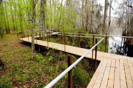 Piney_Woods_Birding_Trail_Ala Enjoy a birding adventure at Piney Woods Birding Trail